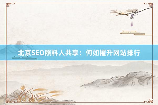 北京SEO照料人共享：何如擢升网站排行