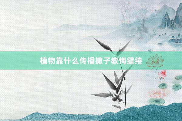 植物靠什么传播撒子教悔缱绻