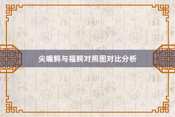 尖嘴鳄与福鳄对照图对比分析