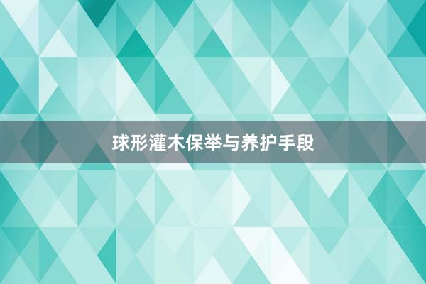 球形灌木保举与养护手段